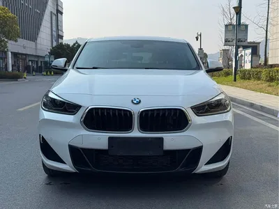 2021 BMW X2 sDrive25i Leading M Sport Package, фото 2, лот 10475510