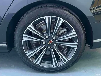2024 Hongqi H9 2.0T Qi Enjoy Private Fashion Edition, фото 4, лот 10286889