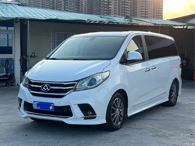 2018 SAIC Maxus Maxus G10 PLUS 1.9T Automatic Luxury Executive Edition Diesel, фото 1, лот 11146607