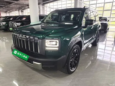 2025 Haval Menglong 2.0T 4WD Ultra, фото 2, лот 11242743