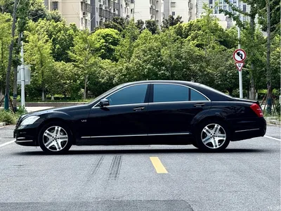 2010 Mercedes-Benz S-Class S 600 L, фото 3, лот 10267865