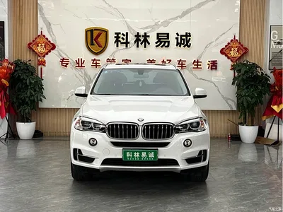 2017 BMW X5 (Import) xDrive28i, фото 2, лот 10424420