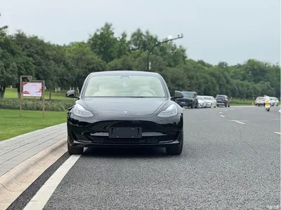 2021 Tesla Model 3 Facelift Standard Range RWD Upgrade 3D1, фото 3, лот 10351753