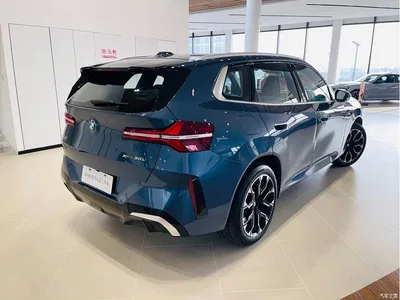 2025 BMW X3 xDrive30L Leading M Sport Package, фото 4, лот 10460932