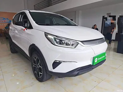 2021 BYD Yuan Pro 401KM Premium Model, фото 4, лот 11222831