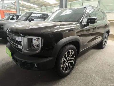 2024 Haval Big Dog 1.5T DCT Border Collie Edition, фото 2, лот 10361288