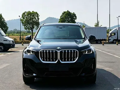 2024 BMW X1 xDrive25Li M Sport Package, фото 2, лот 11190909