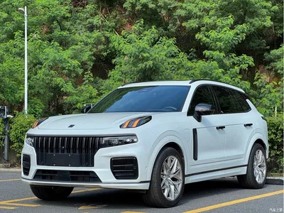 2021 Lynk & Co 09 EM-P 2.0T PHEV Halo 6-seater, фото 1, лот 10402313