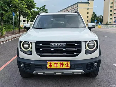 2021 Haval Big Dog 1.5T DCT 2WD Labrador Edition, фото 2, лот 10455793