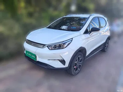 2021 BYD Yuan Pro 401KM Luxury Model, фото 1, лот 10470179