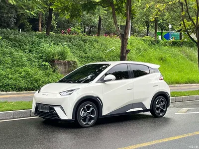 2023 BYD Seagull Flying Edition, фото 1, лот 10385120