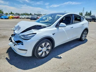 2023 TESLA MODEL Y, фото 1, лот 10854363
