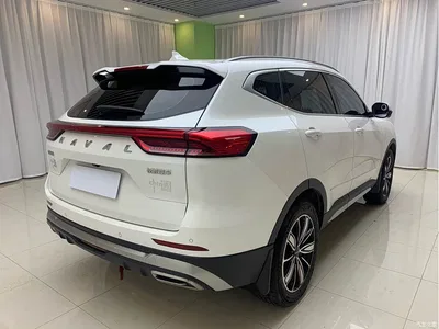 2023 Haval H6 National Trend Edition 1.5T Automatic Champion, фото 4, лот 10296676