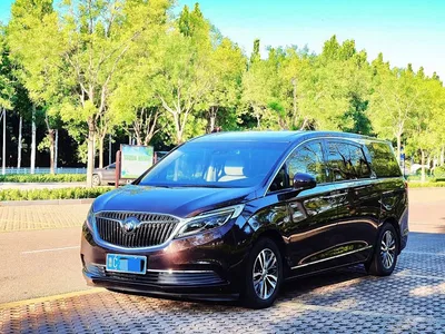2017 Buick GL8 ES 28T Flagship China V, фото 1, лот 10251893