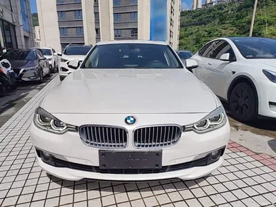 2018 BMW 3 Series 320Li Fashion Style, фото 3, лот 10458053