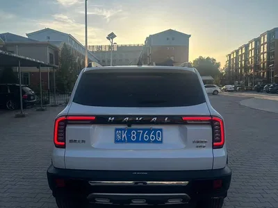 2021 Haval Big Dog 2.0T DCT 4WD Chinese Rural Dog Edition, фото 4, лот 11081566