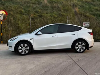 2022 Tesla Model Y Facelift Rear-Wheel Drive Version, фото 4, лот 11254884
