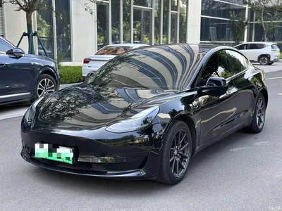 2022 Tesla Model 3 Model Rear-Wheel Drive Version, фото 1, лот 10398242