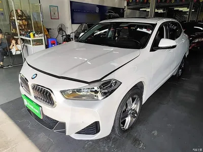 2021 BMW X2 Facelift sDrive25i M Sport Package, фото 2, лот 10475852