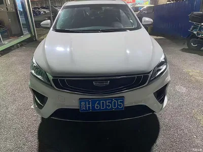 2020 Geely Binrui 200T DCT Luxury, фото 1, лот 11584313
