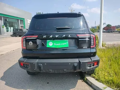 2022 Haval Big Dog Model 2.0T DCT AWD Howling Celestial Dog Hunting Edition, фото 4, лот 10361475