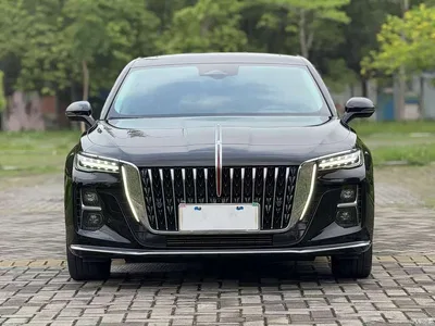 2024 Hongqi H5 2.0T Automatic Smart Connect Flag Smooth Edition, фото 2, лот 10304145