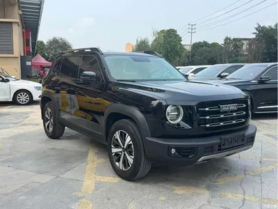 2022 Haval Big Dog 1.5T DCT FWD Labrador Edition, фото 3, лот 10361574
