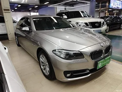 2017 BMW 5 Series 520Li Classic Edition, фото 4, лот 11074962