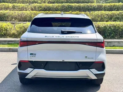 2022 BYD Yuan PLUS 510KM Flagship PLUS, фото 4, лот 10385774