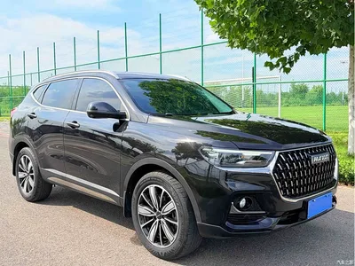 2023 Haval H6 National Trend Edition 1.5T Automatic Champion, фото 3, лот 10281823