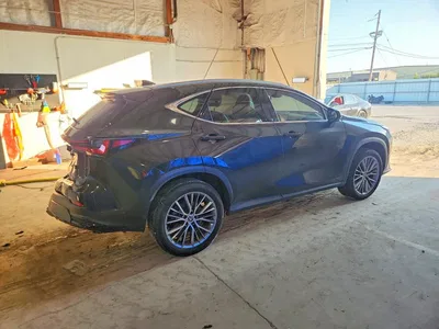 2024 LEXUS NX 350H LUXURY, фото 3, лот 10905373