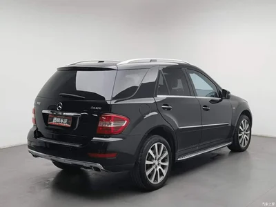 2010 Mercedes-Benz M-Class ML 500 4MATIC Special Edition, фото 2, лот 11540847
