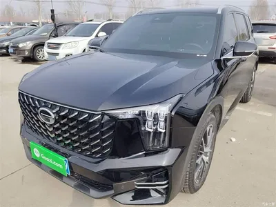 2022 GAC Trumpchi Trumpchi GS8 Pilot Series 2.0TGDI 2WD Luxury Smart Connect Edition (7-Seater), фото 2, лот 10425049