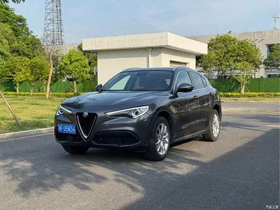 2017 Alfa Romeo Stelvio 2.0T 200HP Luxury Edition, фото 1, лот 10239841