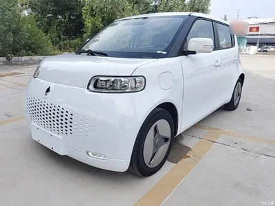 2020 Ora White Cat 360km Standard Model, фото 2, лот 11195675
