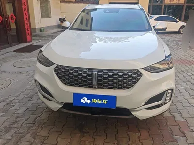 2021 WEY VV6 2.0T 2WD Smart Enjoyment+, фото 2, лот 10451927