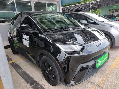 2023 BYD Seagull Freedom Edition, фото 4, лот 10260802
