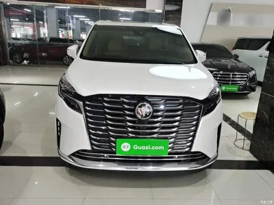 2021 Buick GL8 ES Landlord 653T Premium, фото 3, лот 10262156