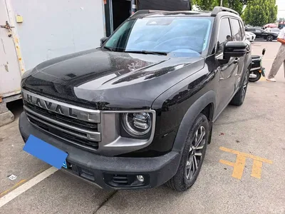 2024 Haval Big Dog 1.5T DCT Border Collie Edition, фото 1, лот 10894642