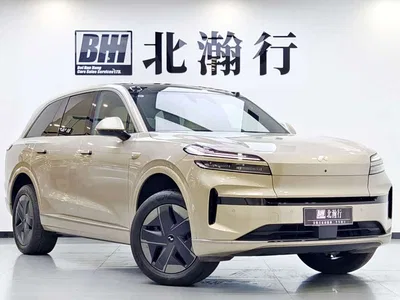 2025 Ledao L90 2WD Base Model, фото 3, лот 10826054