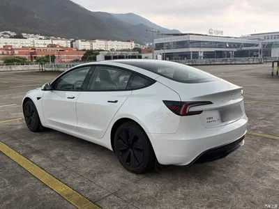 2025 Tesla Model 3 Model Long Range Rear-Wheel Drive, фото 3, лот 10370858