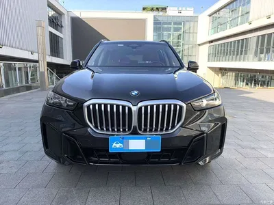 2023 BMW X5 xDrive 30Li Premium M Sport Black Night Package, фото 2, лот 11580203