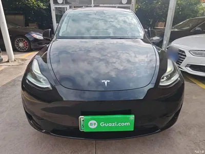 2023 Tesla Model Y Rear-Wheel Drive Edition, фото 3, лот 10369617