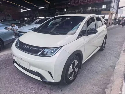 2023 BYD Dolphin 420km Freedom Edition, фото 1, лот 11073522