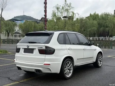 2010 BMW X5 (Import) X5 M, фото 3, лот 10463682
