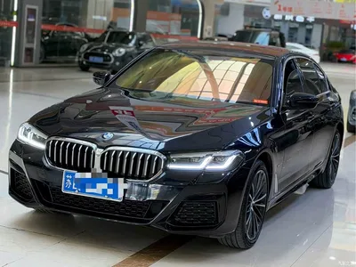 2023 BMW 5 Series 530Li Leading M Sport Package, фото 1, лот 11548866