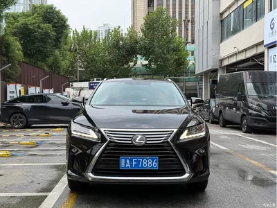 2016 Lexus RX 300 2WD Elite Edition (China V), фото 1, лот 11488597