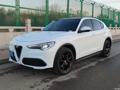 2017 Alfa Romeo Stelvio 2.0T 200HP Luxury Edition, фото 1, лот 10240280