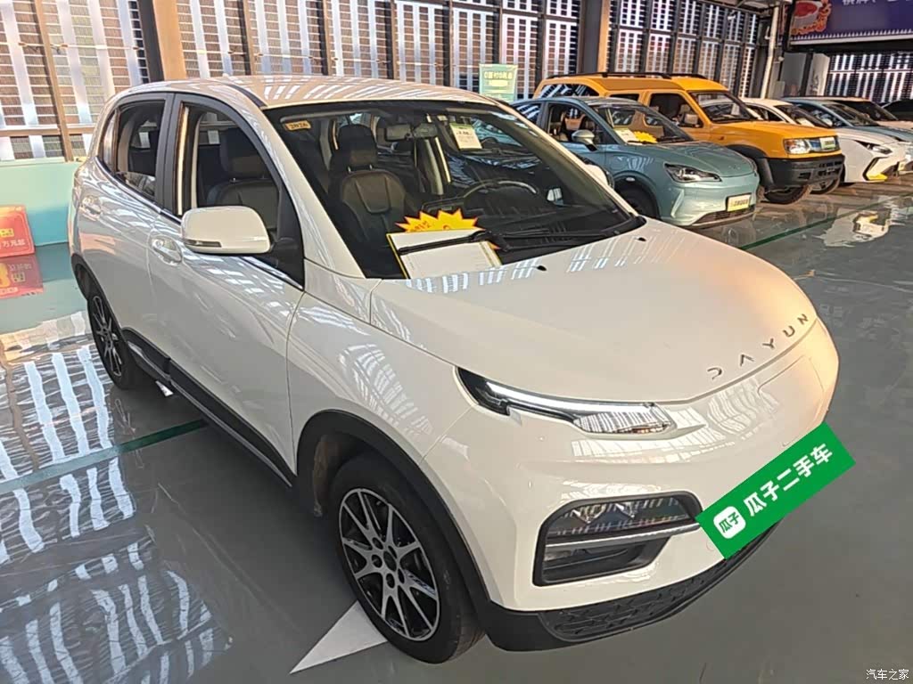 2022 Dayun Yuehu 30.66kWh 2WD VIP Edition, фото 4, лот 10409842
