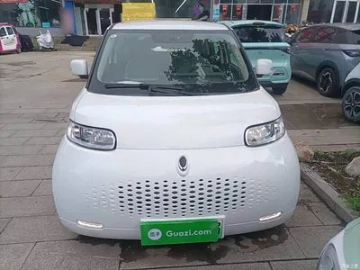 2020 Ora White Cat 360km Luxury Model, фото 3, лот 10330732